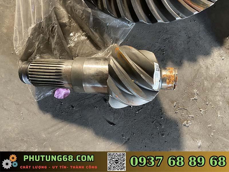 Cùi cầu - quả dứa cầu Mcy 13
